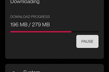 open beta 4