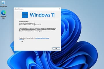 windows11-netwrktips